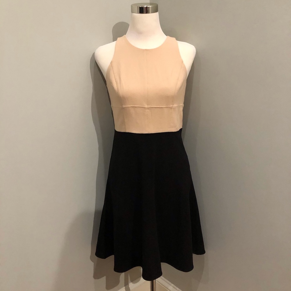 Ann Taylor Crepe Dress, 2